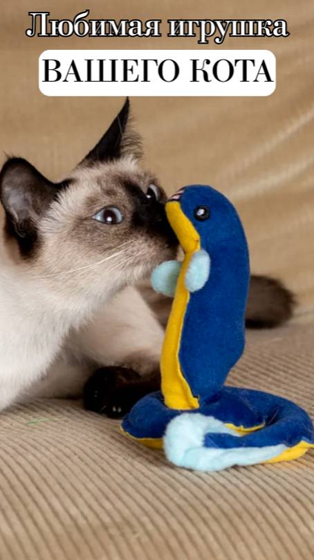 😺Кошачий удар по угрю!