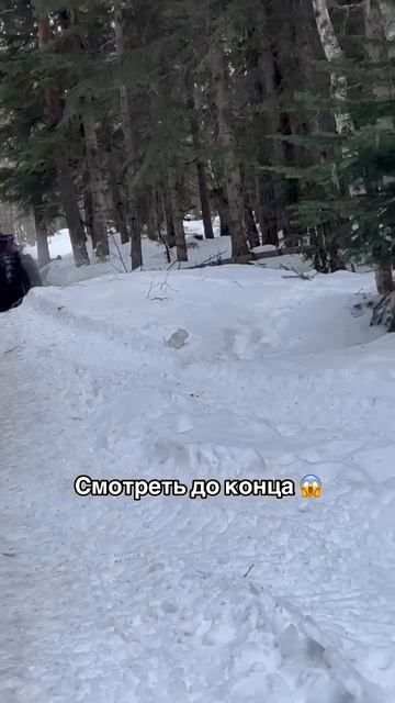 Экстрим на вездеходе 💪