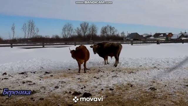 1000067886.mp4