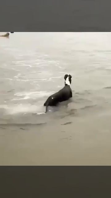 Я когда приехала на море😂