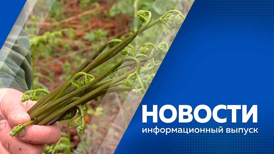 Новости 10.06.2025г
