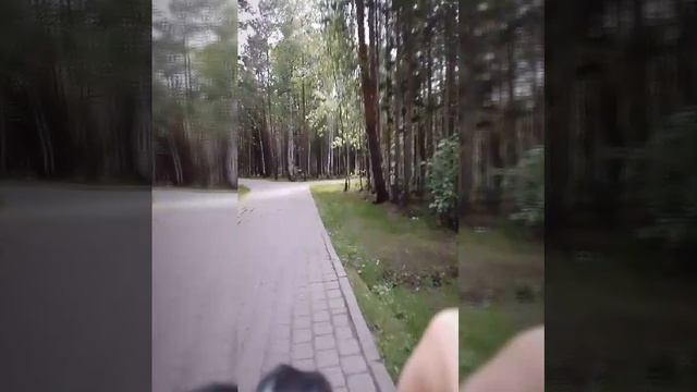моя жизнь(2часть)