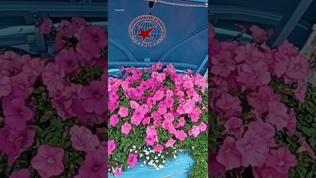 Голубой автомобиль.mp4
