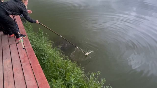 1000087467.mp4