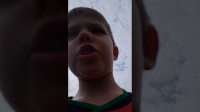 третья часть обзор на грядки и дом