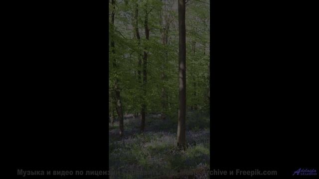 Кадры, снятые через призму чёрной дыры - технологии будущего! - I Can Do Better -- Derek Clegg -- St