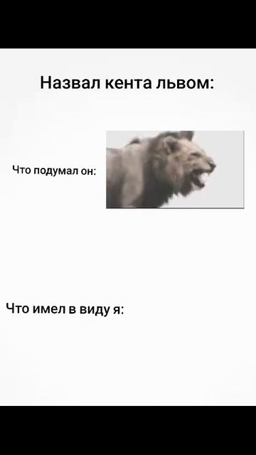 Что за лев этот тигр
