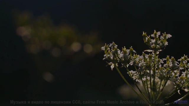 Клип, созданный искусственной нейросетью - новое слово в искусстве! - Hate Me -- Kirk Osamayo -- Sea