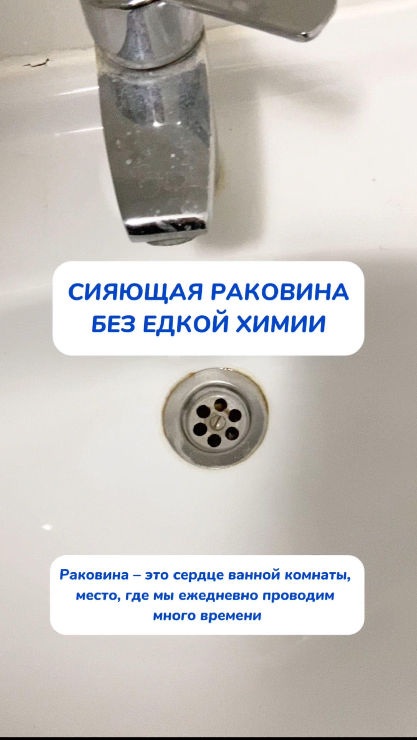 Секрет белой раковины