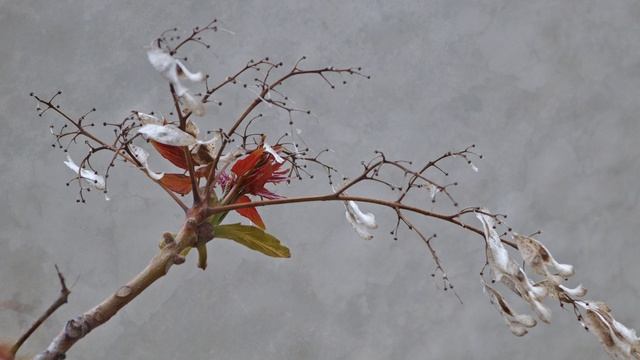 Горячая-Холодная-Пикет-Пост