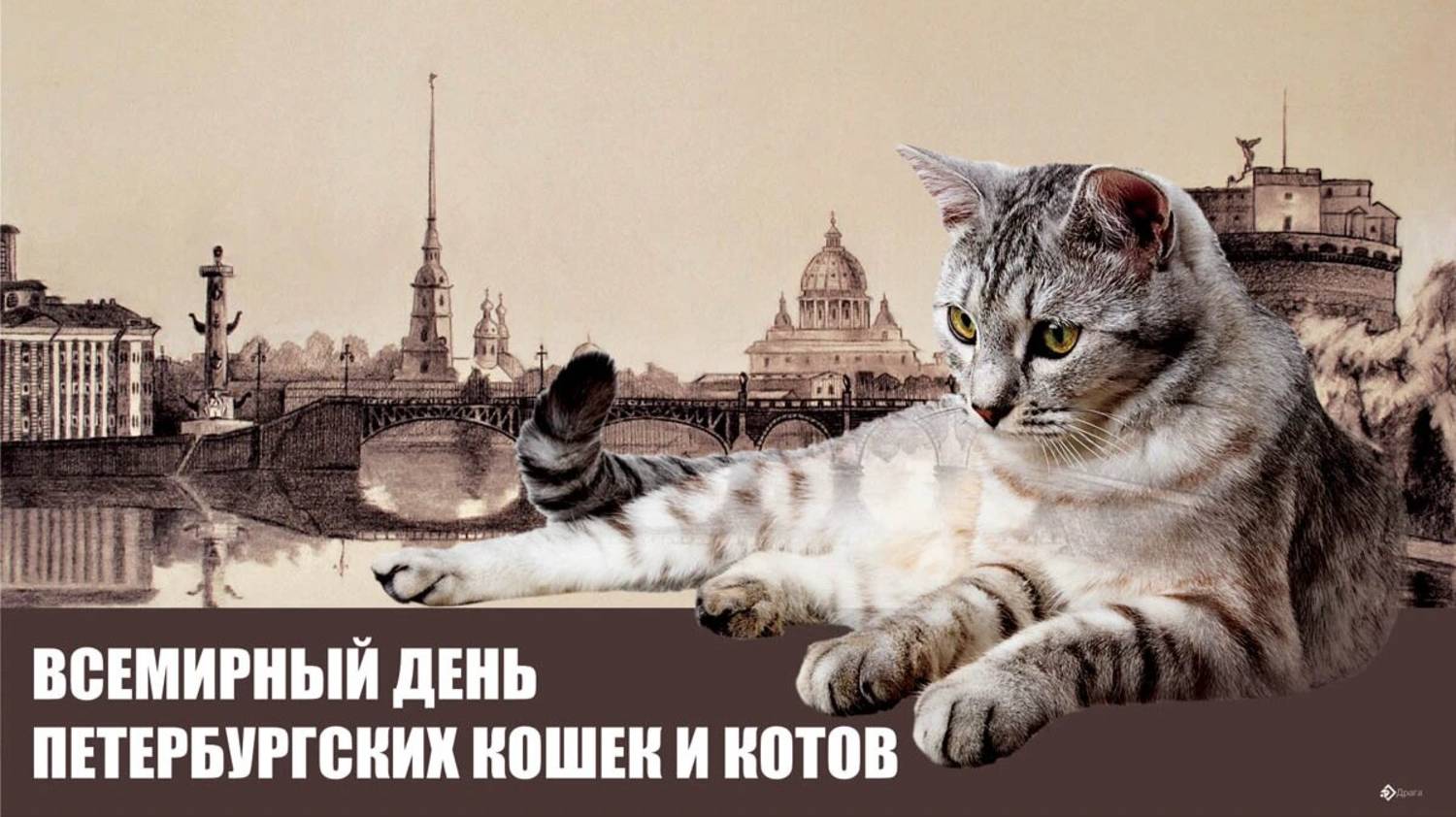 Всемирный день петербургских котов и кошек.
