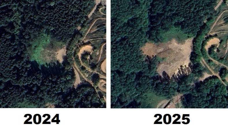 Новая вырубка Салтыковского лесопарка 2025