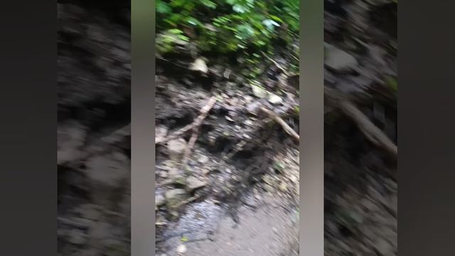 Любовецкий водопад, он же овраг.