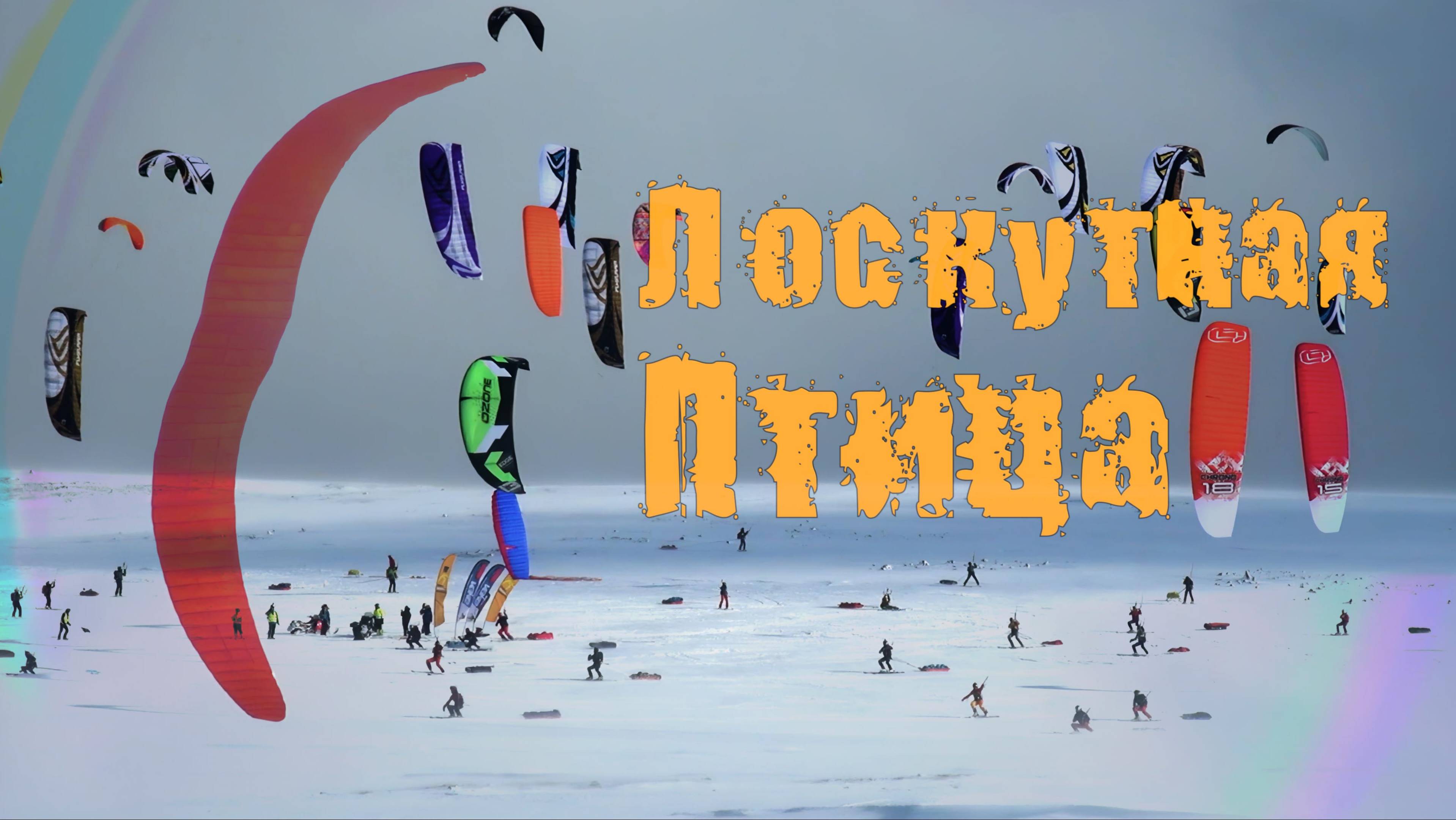 Песня "Лоскутная птица"