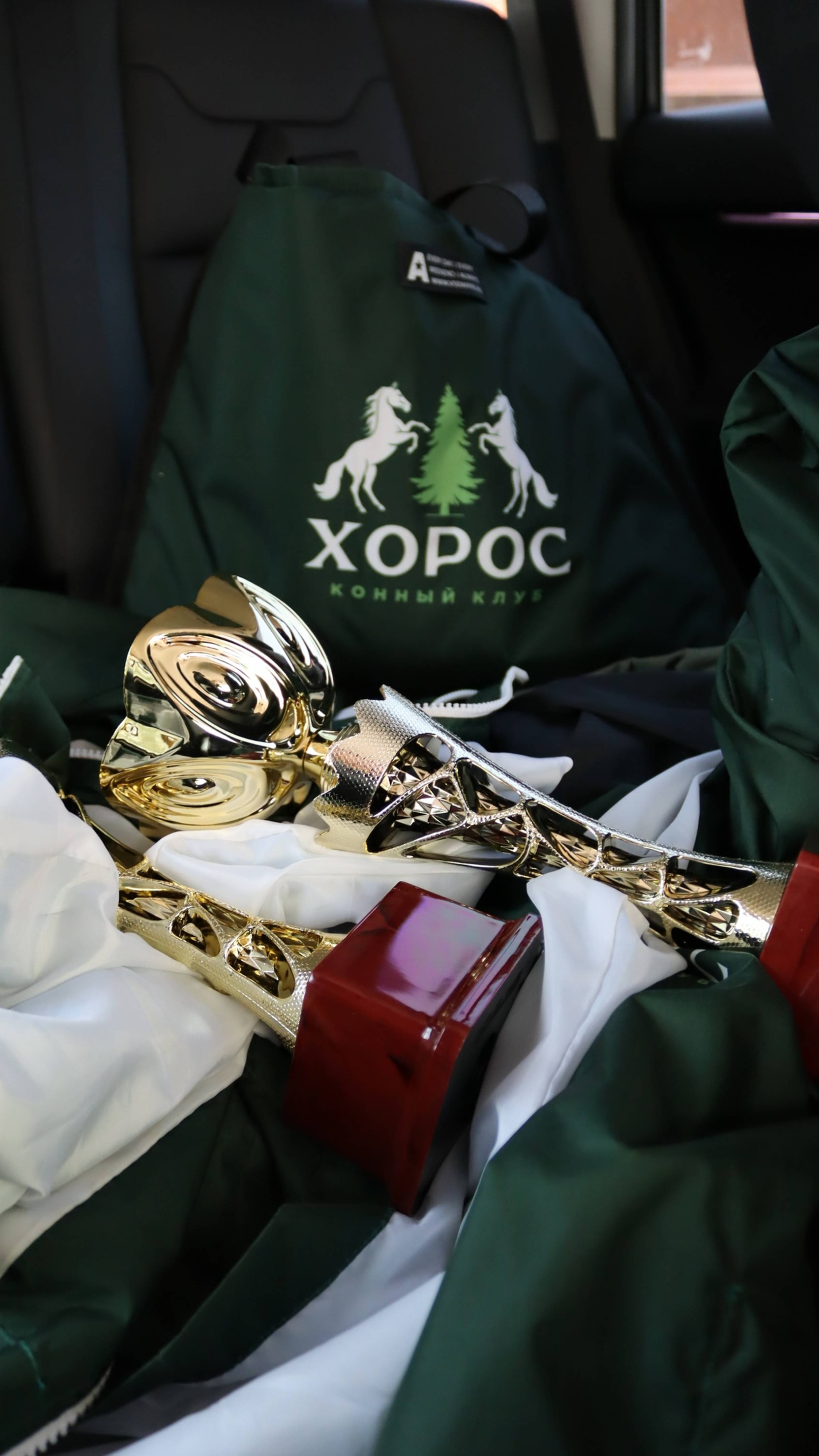 Кубок Губернатора Рязанской области