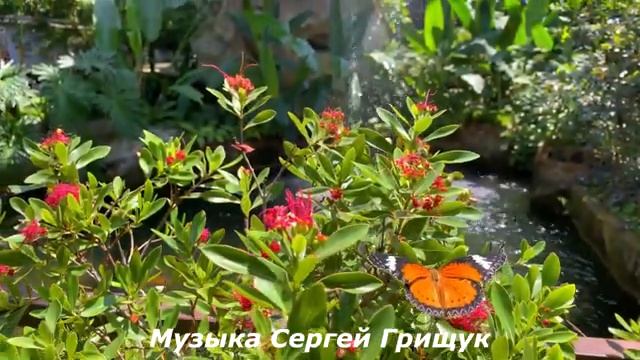 🔊Музыка Для Души🔊 ,,ЖИЗНЬ ИДЁТ,,🔊Музыка Сергей Грищук🔊
