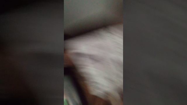 VID_20250611_162422.mp4