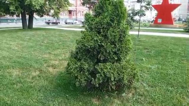 1000008157.mp4