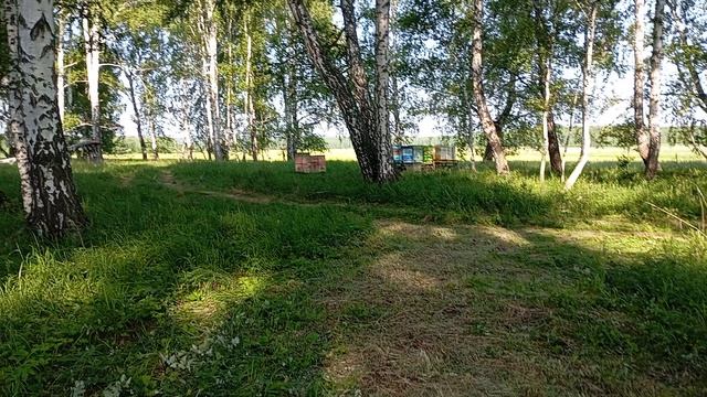 Выезд на донник2025.
