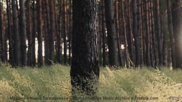 Музыка превращает видео в личный полёт - Archipelago -- A. A. Aalto -- Fest