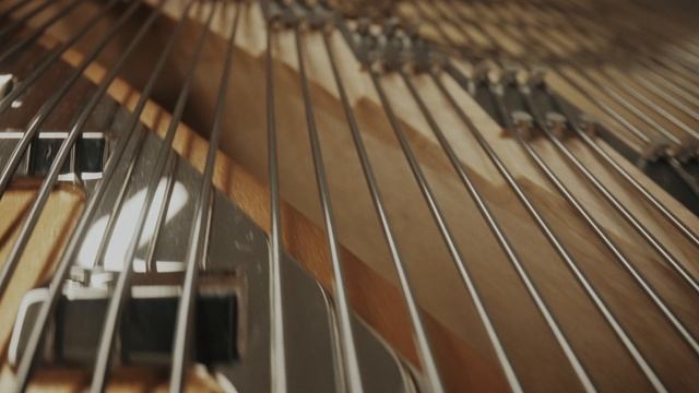 Денис Мацуев за концертным роляем Yamaha CFX