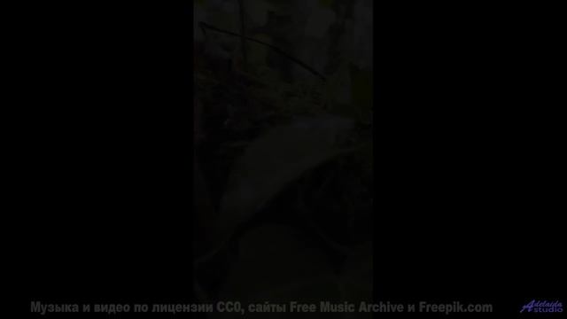 Танцуйте медленно - пусть эта песня ведёт вас! - Street Dancing -- Timecrawler 82 -- Osaka Lights