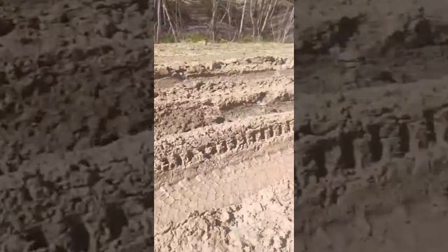Ужасная дорога Томск -Кедроввй😱