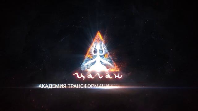Отзывы