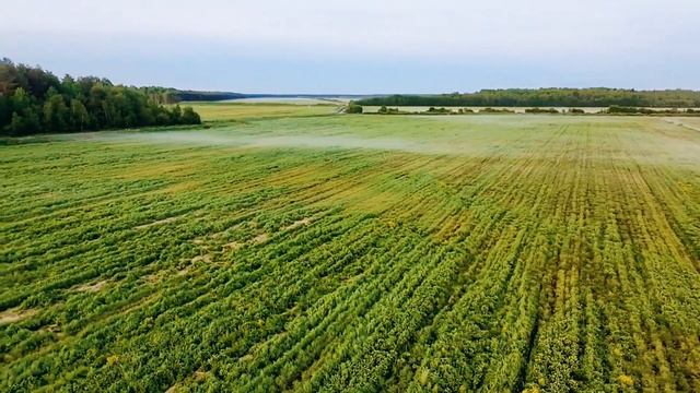 DJi Neo, вечерняя атмосфера.