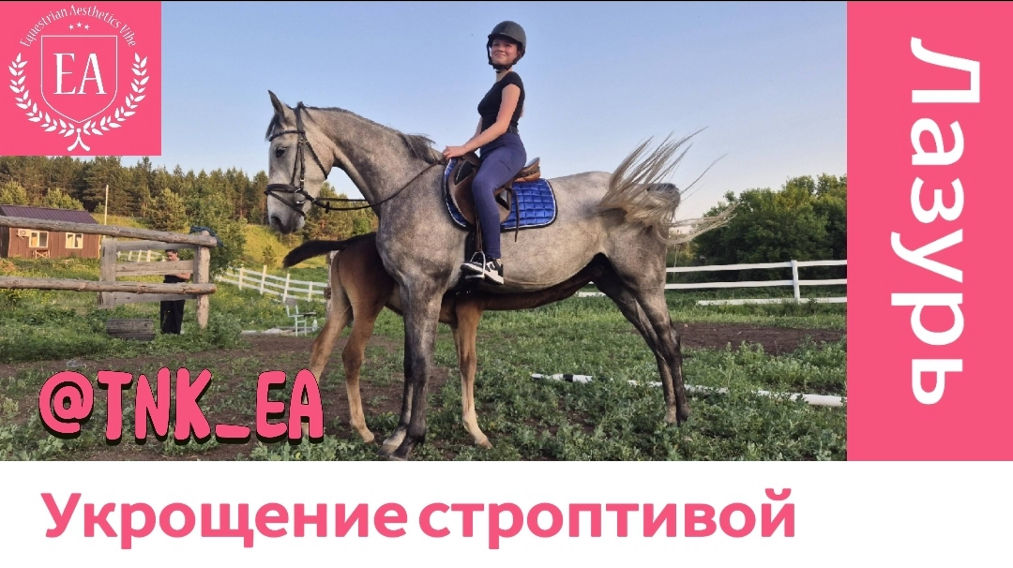 Укрощение строптивой в Поместье конюшни "Конная эстетика" в Елабужском районе, с. Танайка