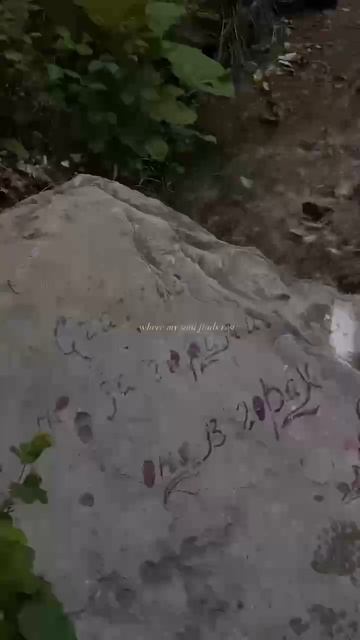 «есть границы между языками, но нет границ между сердцами»
                     - Расул Гамзатов.