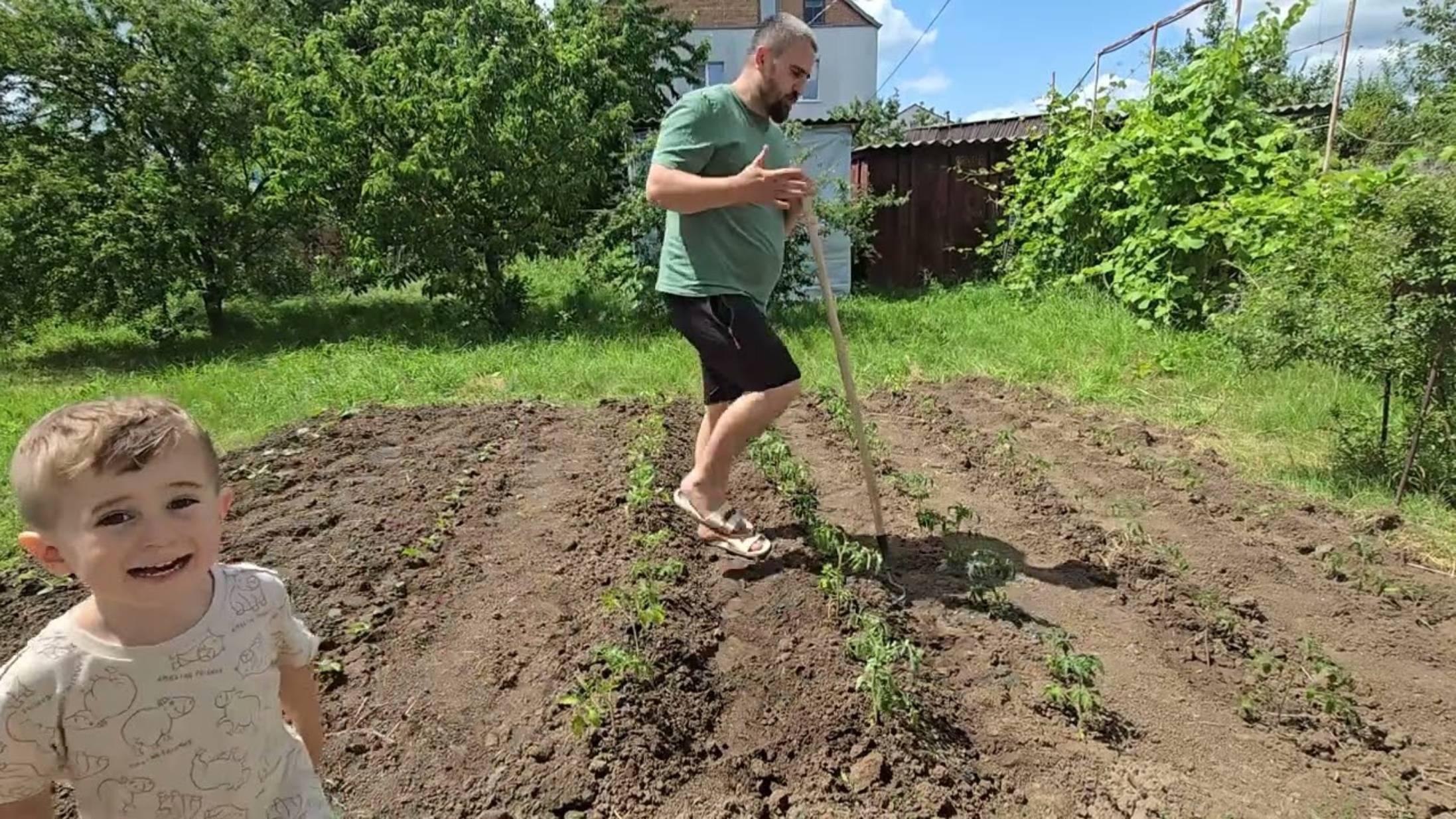 Андрей Новиков. Самая важная процедура на помидорах! Артёма не узнать)