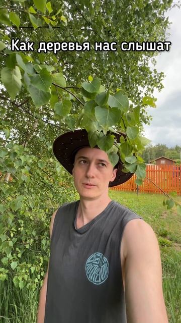 Как мы разговариваем с деревьями