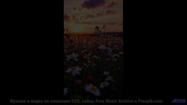 Этот источник дарует. и забирает! - Gloria With Angles - Softmix (ID 768) -- Lobo Loco -- Hot Pot Da