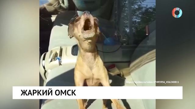 Жаркий Омск