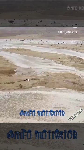 выбрался из западни