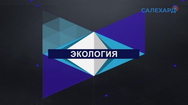 Времена города 11.06.2025 19:30