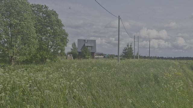 1000017351.mp4