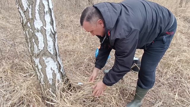 Первый сок/приехали в лес/погода ухудшается
