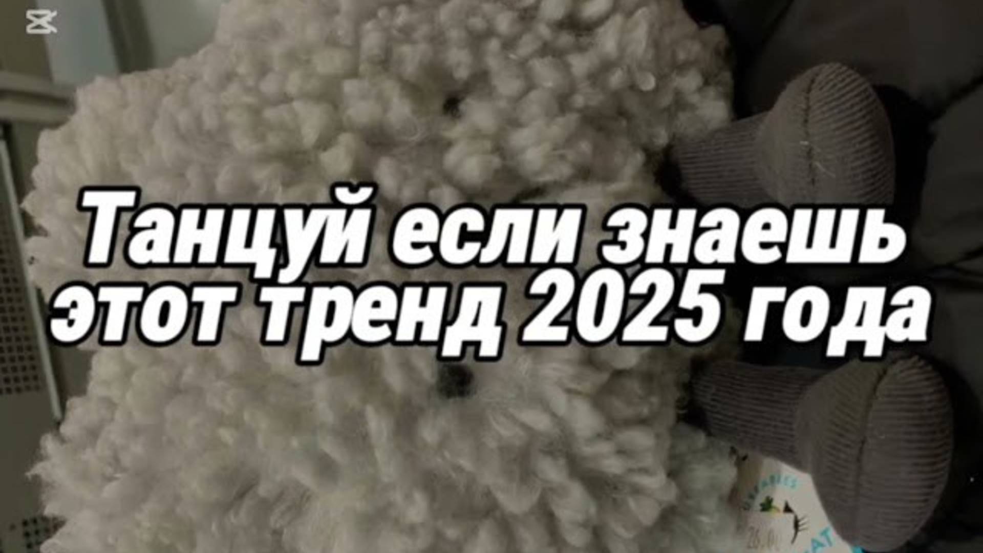 ℹ️ Танцуй если знаешь этот тренд!