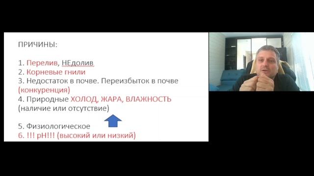 1000033470.mp4