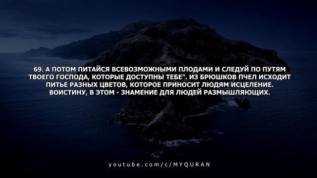 Сура 16 Ан-Нахль (Пчёлы) с переводом