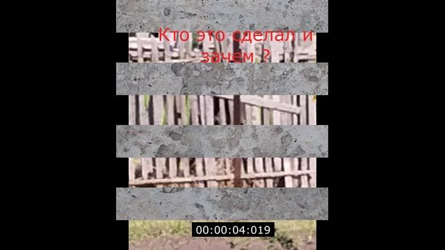 Кто это сделал и зачем ?