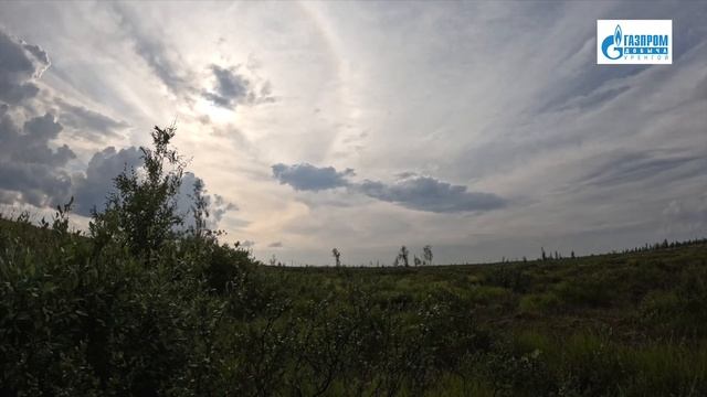С днём России