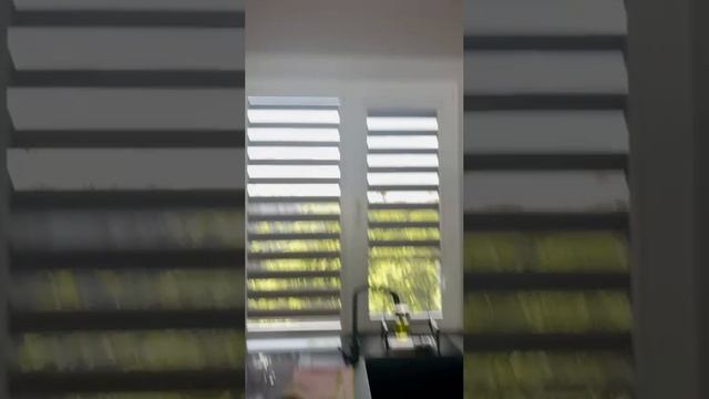 1000151587.mp4