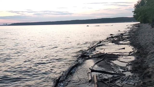 После заката: тенденции СВО 🇷🇺 - на Сумы? В чем логика? Бунт нелегалов в США, Трампу тяжело 😤