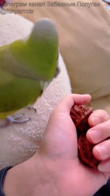 VID_20250611_114144_770.mp4
