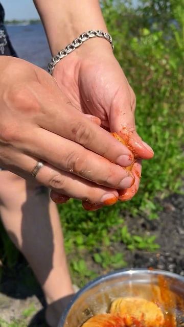 ЧИПСЫ НА МАНГАЛЕ🔥