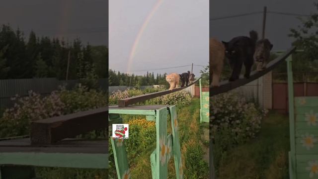 Благослови Всевышний этот день 😇🌈💓🙏😻