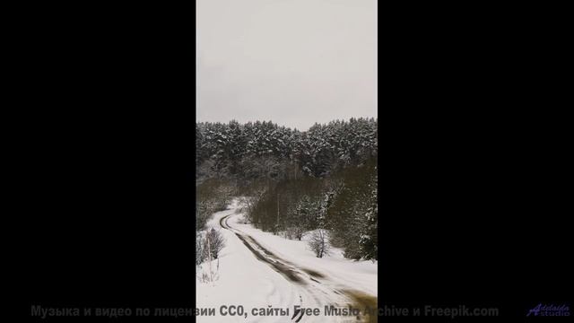 Почему рыбы в аквариуме сходят с ума от этой мелодии - Всё или ничего -- POVALISHIN DIVISION -- Выпу